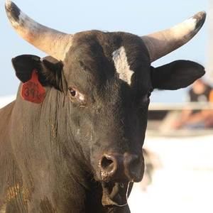 Meet your Posher, Kellie